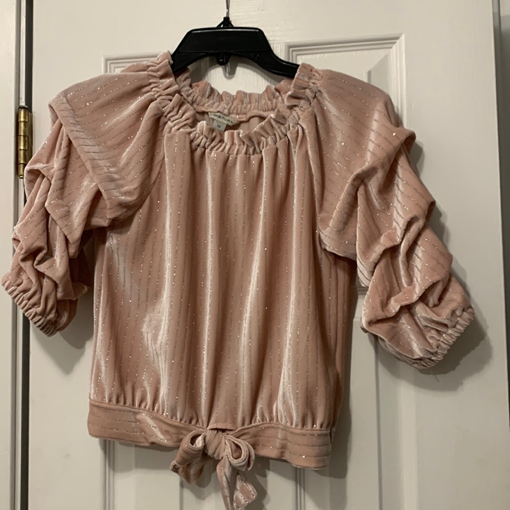 Pink Velvet and Silver Sparkle Dress Top